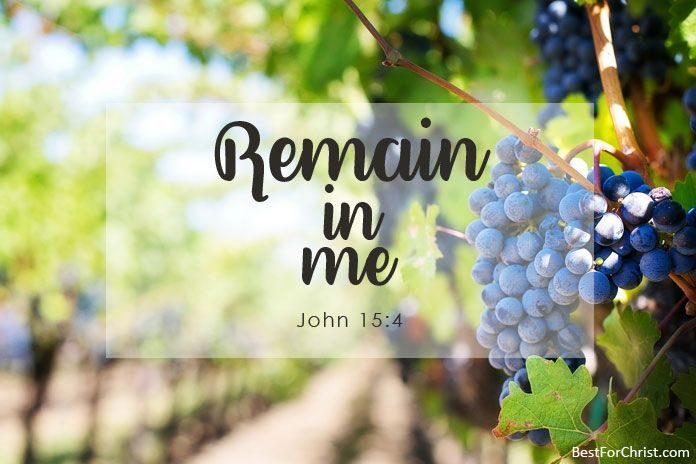 Vine and Branches meaning in the Bible
